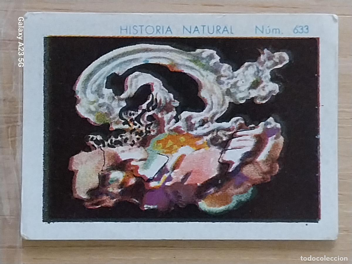 Coleccionismo cromos antiguos: PLATA CHOCOLATES JUNCOSA LA CHOCOLATERA *___________ A&Ntilde;O 1935 CROMO 632 4.5X3.5CMS HISTORIA NATURAL