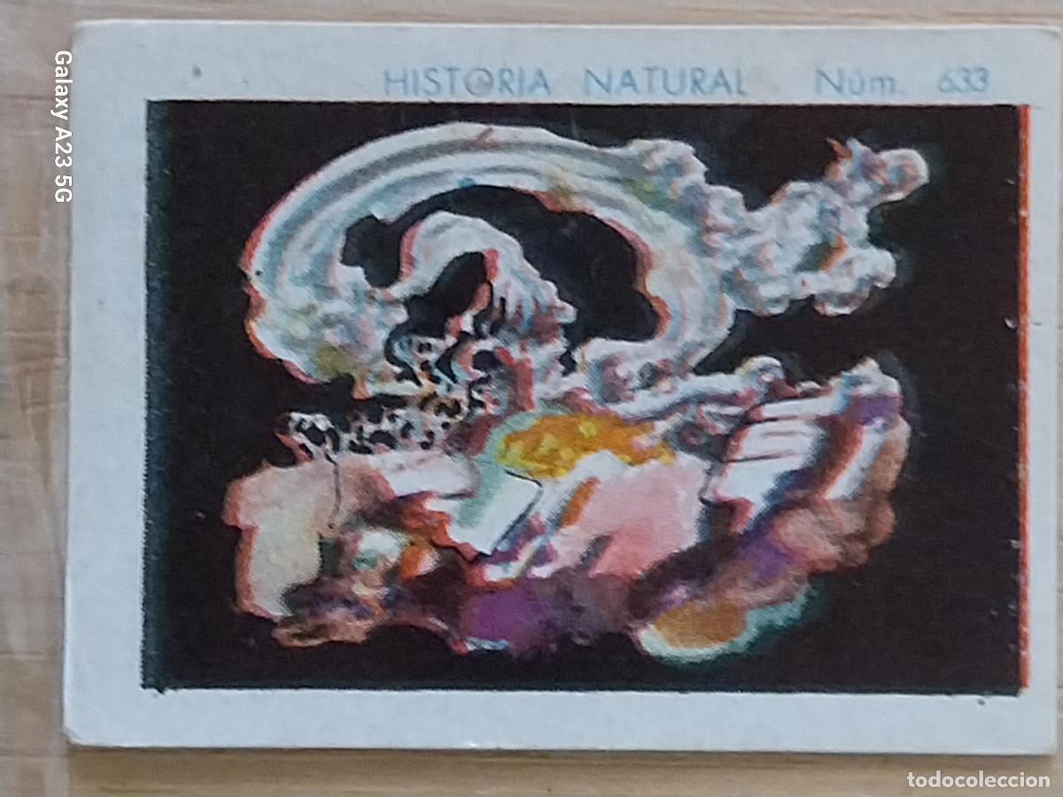 Coleccionismo cromos antiguos: PLATA CHOCOLATES JUNCOSA LA CHOCOLATERA ___________ A&Ntilde;O 1935 CROMO 632 4.5X3.5CMS HISTORIA NATURAL