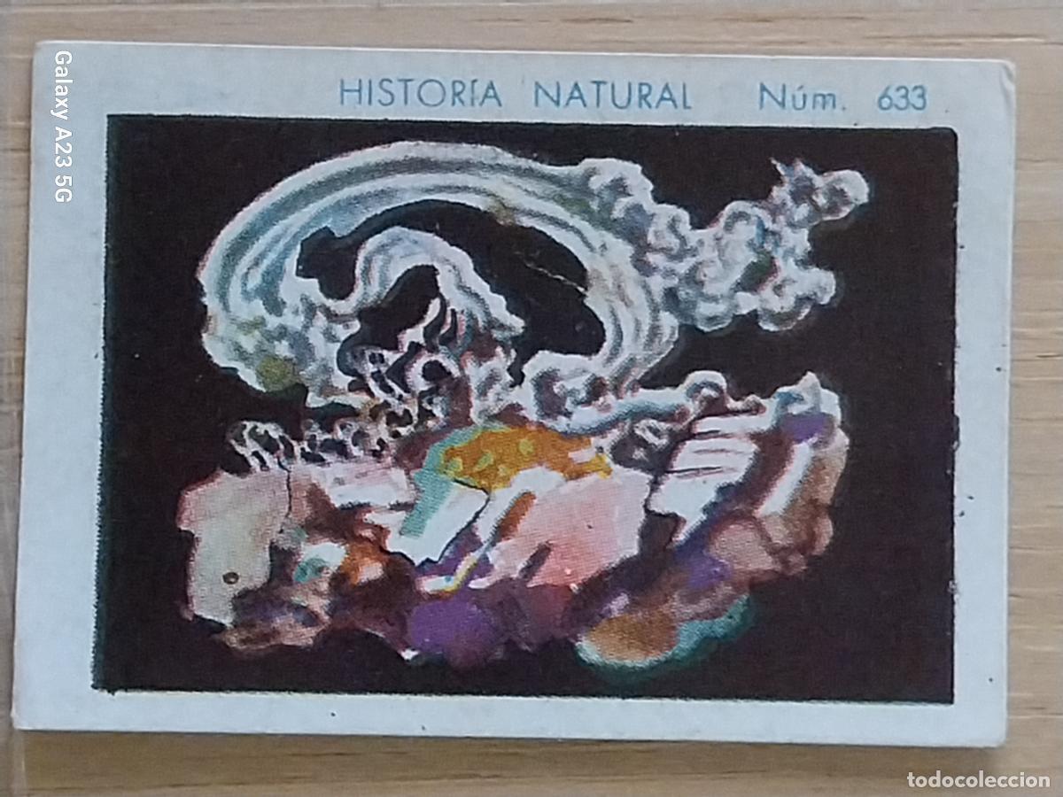 Coleccionismo cromos antiguos: PLATA CHOCOLATES JUNCOSA LA CHOCOLATERA __________ A&Ntilde;O 1935 CROMO 632 4.5X3.5CMS HISTORIA NATURAL