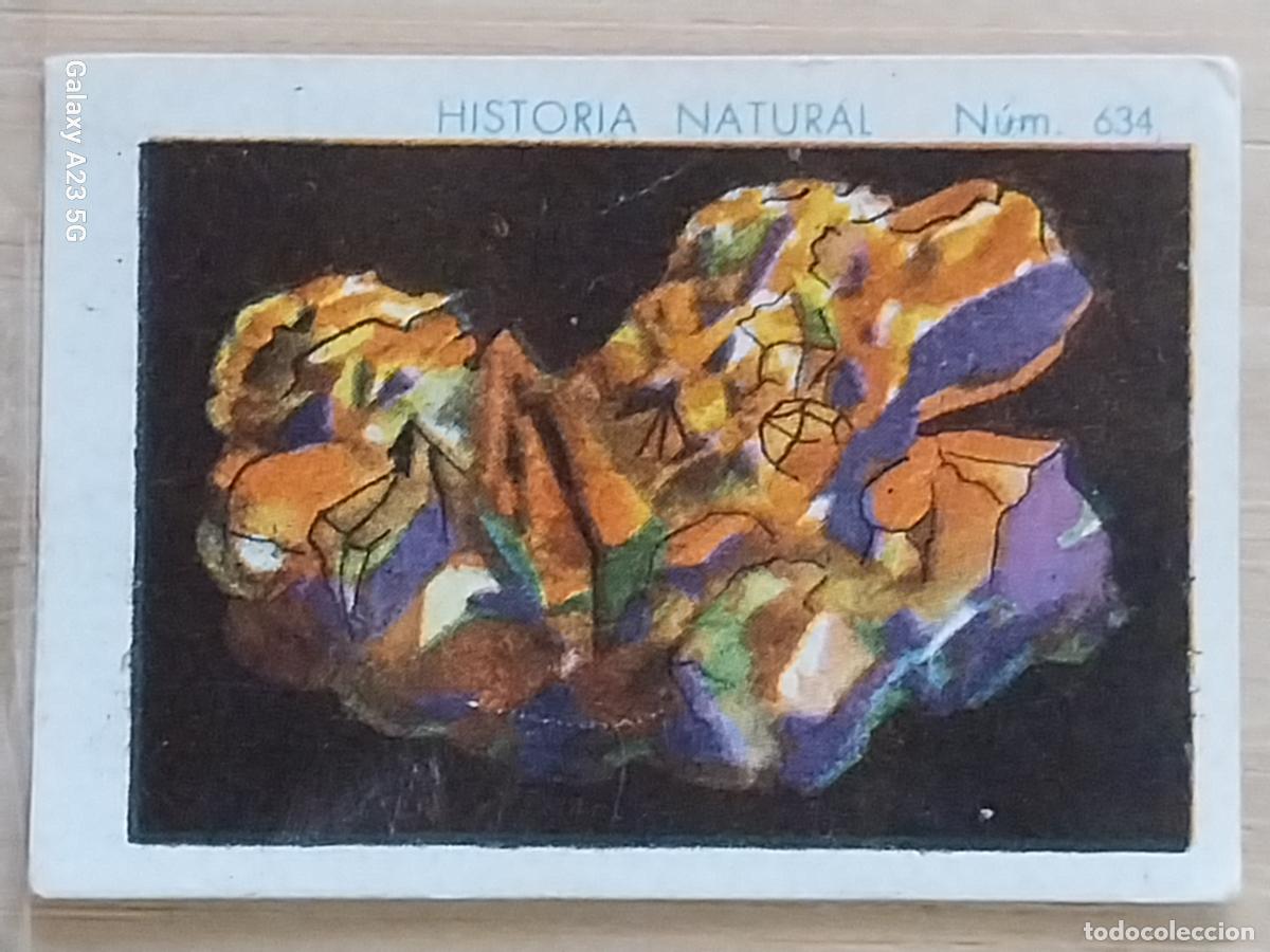Coleccionismo cromos antiguos: COBRE CHOCOLATES JUNCOSA LA CHOCOLATERA __________ A&Ntilde;O 1935 CROMO 634 4.5X3.5CMS HISTORIA NATURAL