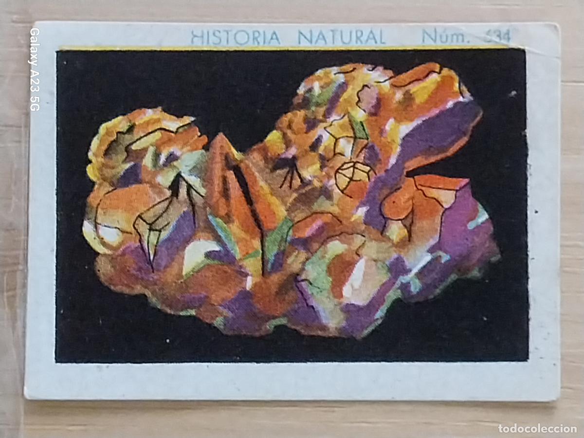 Coleccionismo cromos antiguos: COBRE CHOCOLATES JUNCOSA LA CHOCOLATERA _________ A&Ntilde;O 1935 CROMO 634 4.5X3.5CMS HISTORIA NATURAL