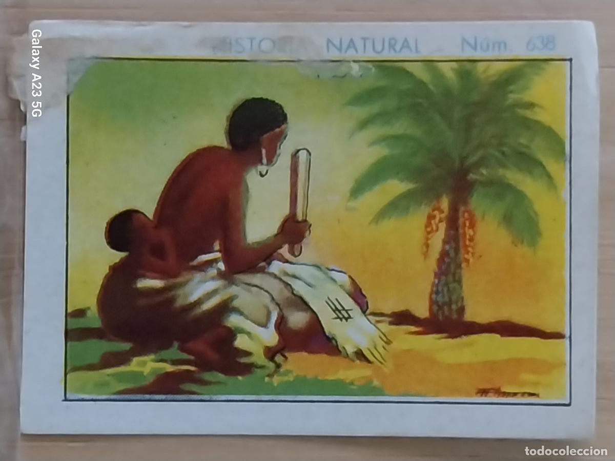 Coleccionismo cromos antiguos: RAFIA CHOCOLATES JUNCOSA LA CHOCOLATERA ********** A&Ntilde;O 1935 CROMO 638 4.5X3.5CMS HISTORIA NATURAL