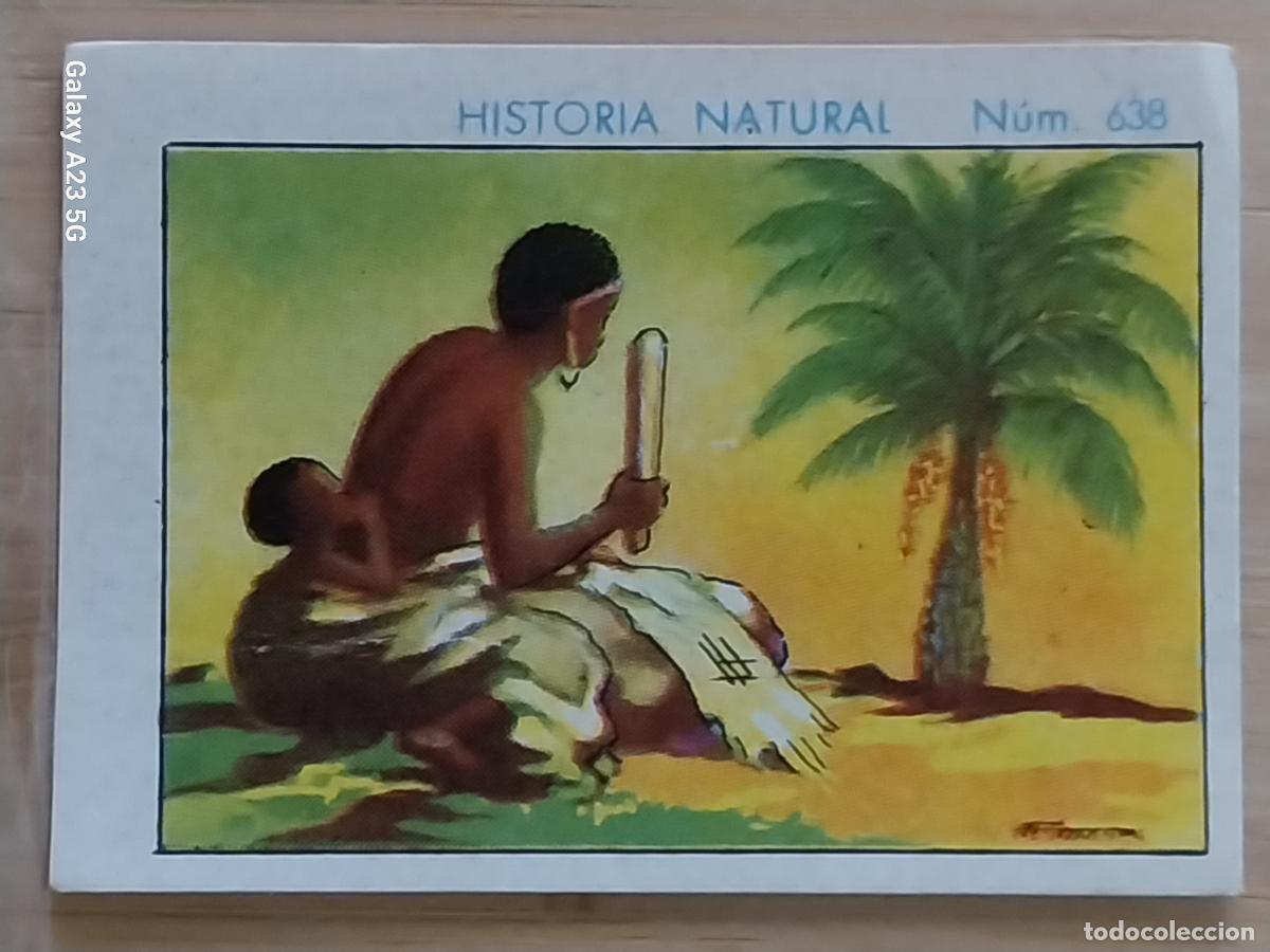 Coleccionismo cromos antiguos: RAFIA CHOCOLATES JUNCOSA LA CHOCOLATERA ********* A&Ntilde;O 1935 CROMO 638 4.5X3.5CMS HISTORIA NATURAL