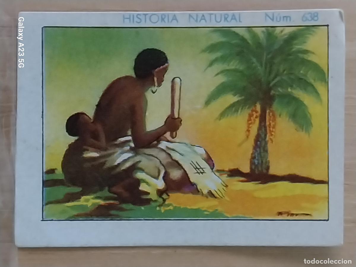 Coleccionismo cromos antiguos: RAFIA CHOCOLATES JUNCOSA LA CHOCOLATERA ******** A&Ntilde;O 1935 CROMO 638 4.5X3.5CMS HISTORIA NATURAL