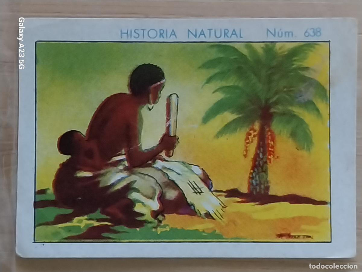 Coleccionismo cromos antiguos: RAFIA CHOCOLATES JUNCOSA LA CHOCOLATERA ******* A&Ntilde;O 1935 CROMO 638 4.5X3.5CMS HISTORIA NATURAL