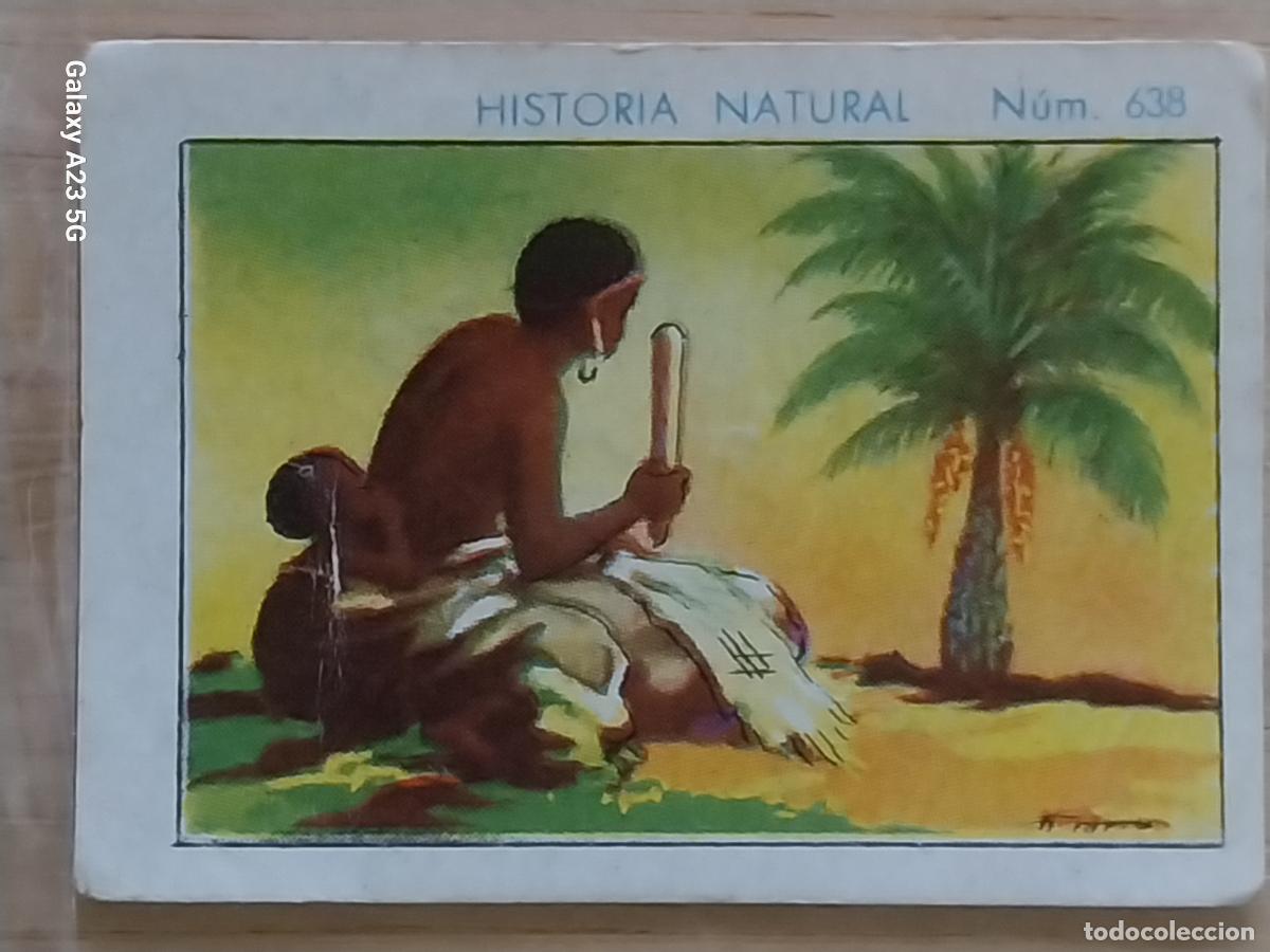 Coleccionismo cromos antiguos: RAFIA CHOCOLATES JUNCOSA LA CHOCOLATERA ****** A&Ntilde;O 1935 CROMO 638 4.5X3.5CMS HISTORIA NATURAL