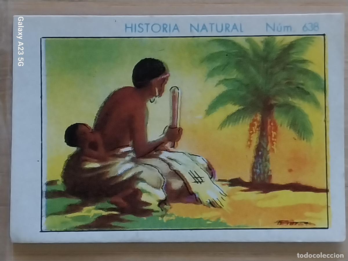 Coleccionismo cromos antiguos: RAFIA CHOCOLATES JUNCOSA LA CHOCOLATERA ***** A&Ntilde;O 1935 CROMO 638 4.5X3.5CMS HISTORIA NATURAL
