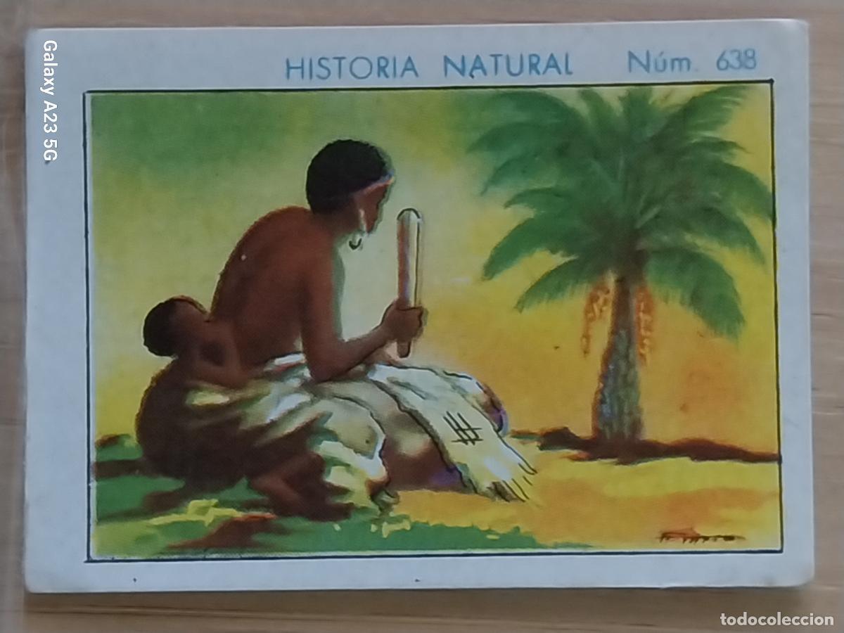 Coleccionismo cromos antiguos: RAFIA CHOCOLATES JUNCOSA LA CHOCOLATERA **** A&Ntilde;O 1935 CROMO 638 4.5X3.5CMS HISTORIA NATURAL