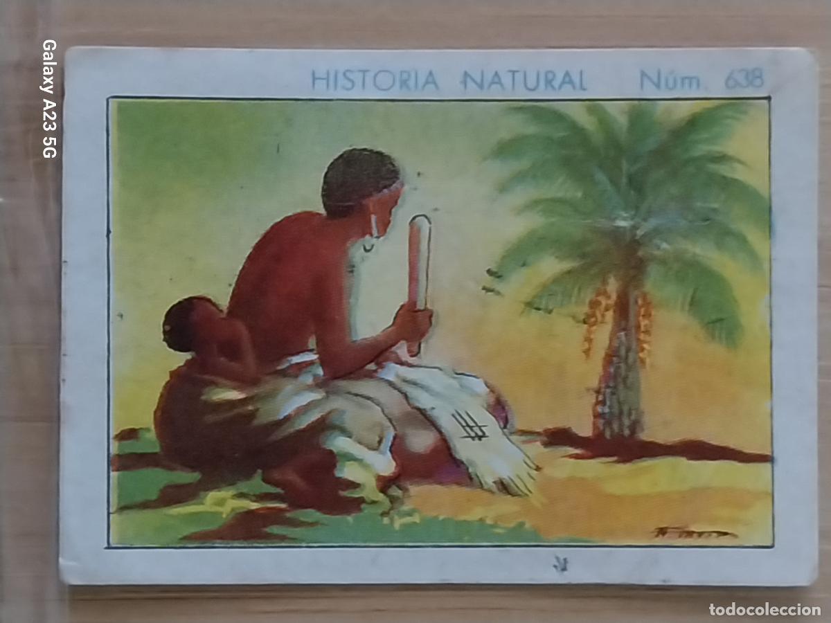 Coleccionismo cromos antiguos: RAFIA CHOCOLATES JUNCOSA LA CHOCOLATERA *** A&Ntilde;O 1935 CROMO 638 4.5X3.5CMS HISTORIA NATURAL