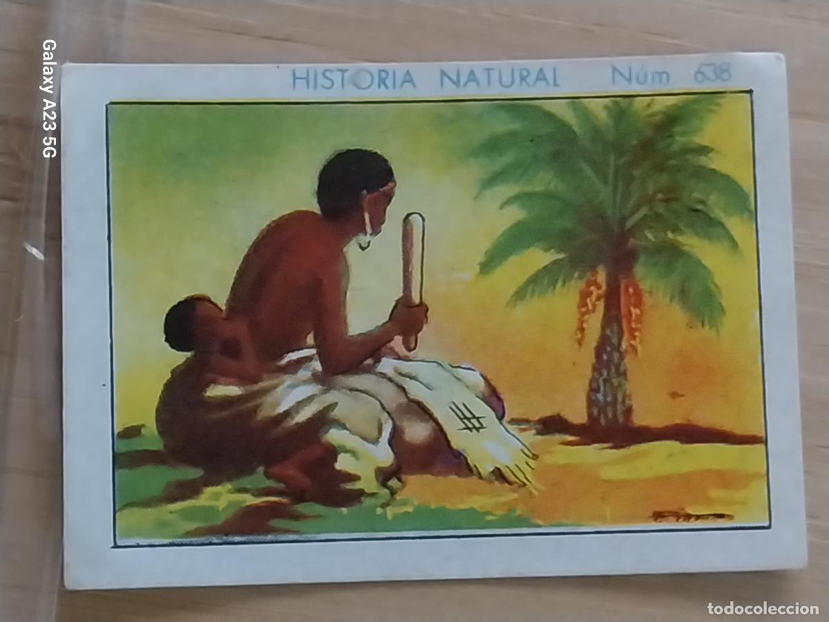 Coleccionismo cromos antiguos: RAFIA CHOCOLATES JUNCOSA LA CHOCOLATERA * A&Ntilde;O 1935 CROMO 638 4.5X3.5CMS HISTORIA NATURAL