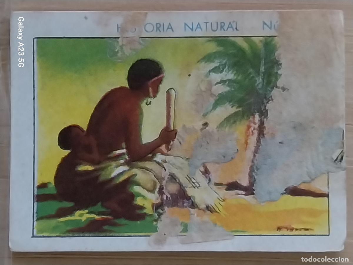 Collectionnisme Cartes &agrave; collectionner anciennes: RAFIA CHOCOLATES JUNCOSA LA CHOCOLATERA ___________ A&Ntilde;O 1935 CROMO 638 4.5X3.5CMS HISTORIA NATURAL