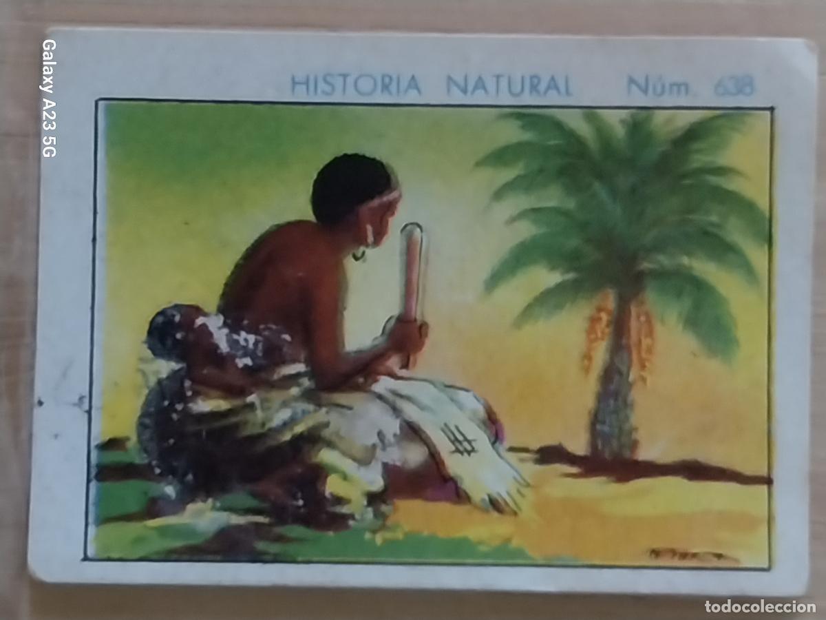 Collectionnisme Cartes &agrave; collectionner anciennes: RAFIA CHOCOLATES JUNCOSA LA CHOCOLATERA __________ A&Ntilde;O 1935 CROMO 638 4.5X3.5CMS HISTORIA NATURAL