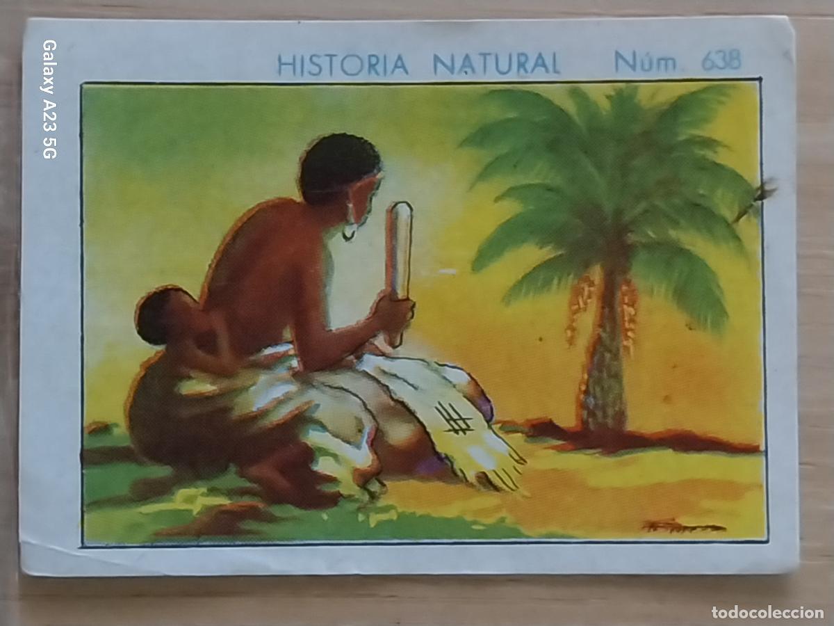 Colecionismo Cromos antigos: RAFIA CHOCOLATES JUNCOSA LA CHOCOLATERA ________ A&Ntilde;O 1935 CROMO 638 4.5X3.5CMS HISTORIA NATURAL