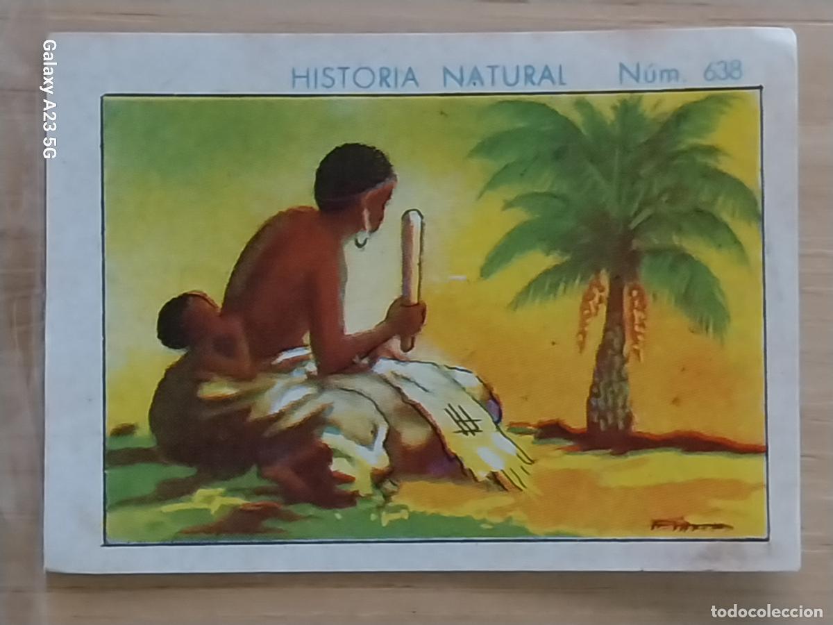 Coleccionismo cromos antiguos: RAFIA CHOCOLATES JUNCOSA LA CHOCOLATERA _______ A&Ntilde;O 1935 CROMO 638 4.5X3.5CMS HISTORIA NATURAL