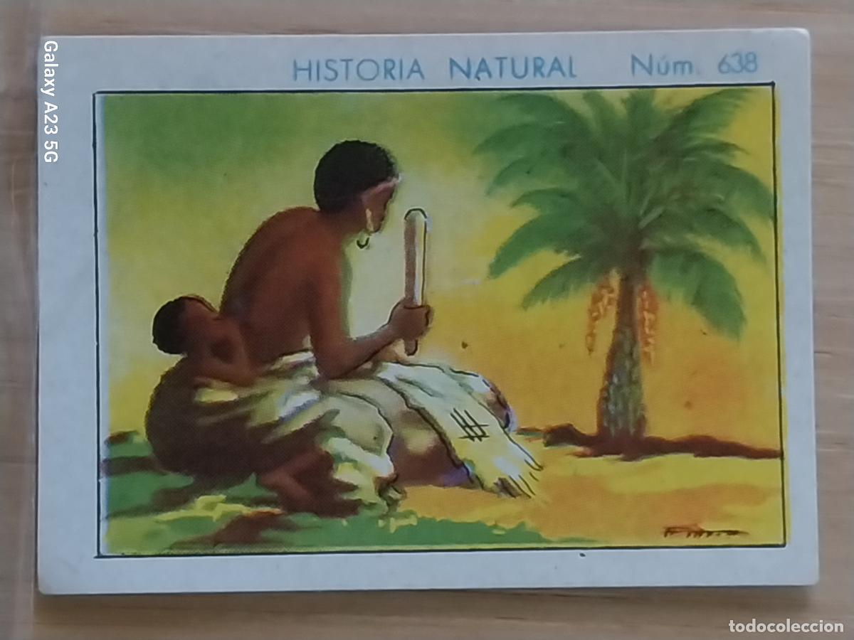 Coleccionismo cromos antiguos: RAFIA CHOCOLATES JUNCOSA LA CHOCOLATERA ______ A&Ntilde;O 1935 CROMO 638 4.5X3.5CMS HISTORIA NATURAL