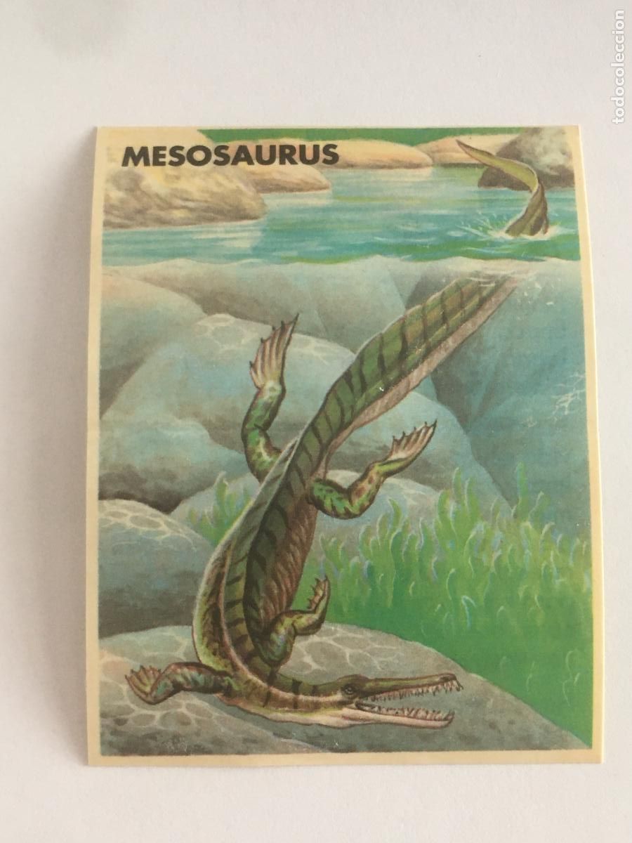 Coleccionismo cromos antiguos: phoskitos saurio park cromo n&ordm; 39 nunca pegado