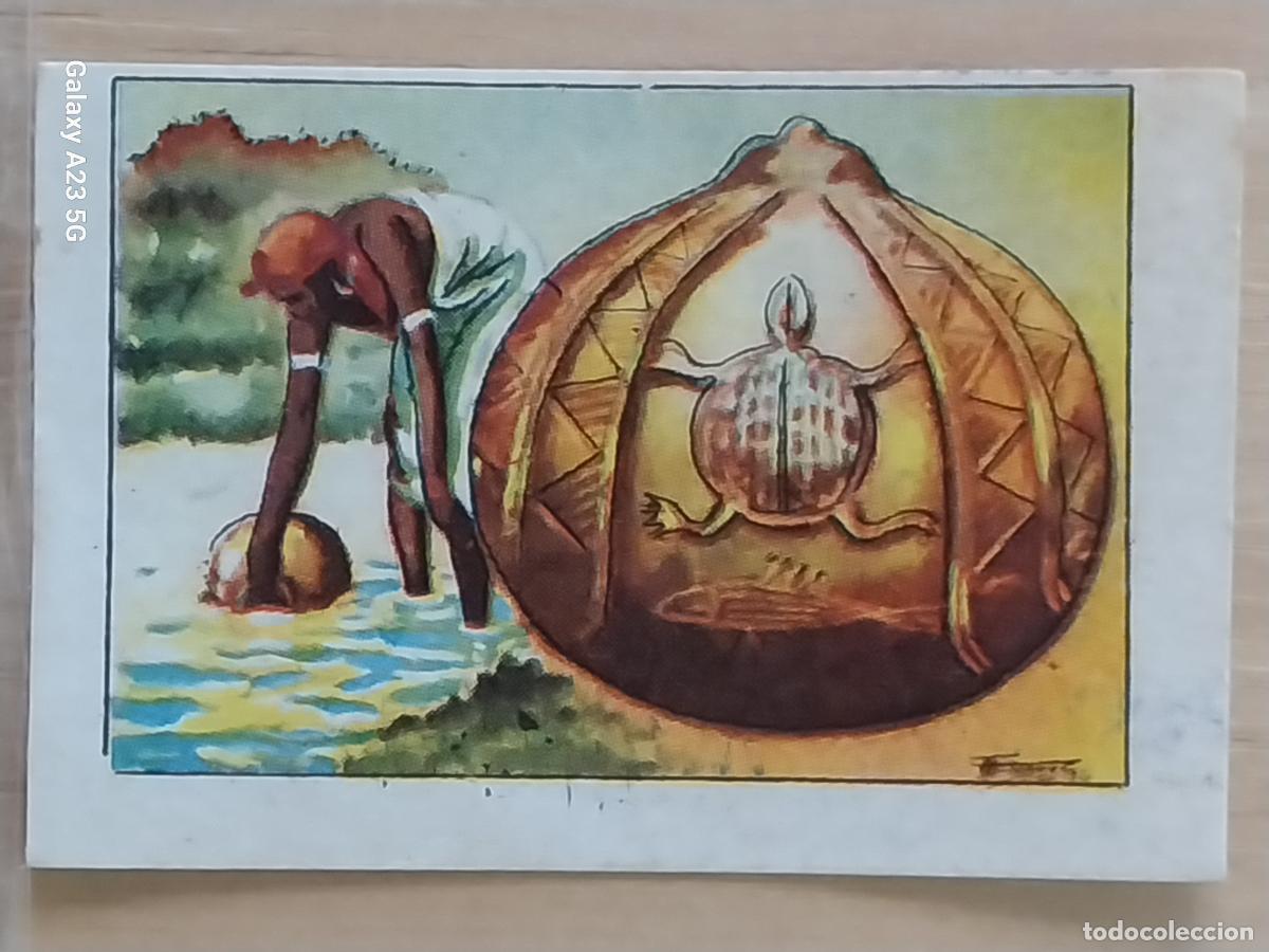 Coleccionismo cromos antiguos: CALABAZA CHOCOLATES JUNCOSA LA CHOCOLATERA A&Ntilde;O 1935 ********* CROMO 642 4.5X3.5CMS HISTORIA NATURAL