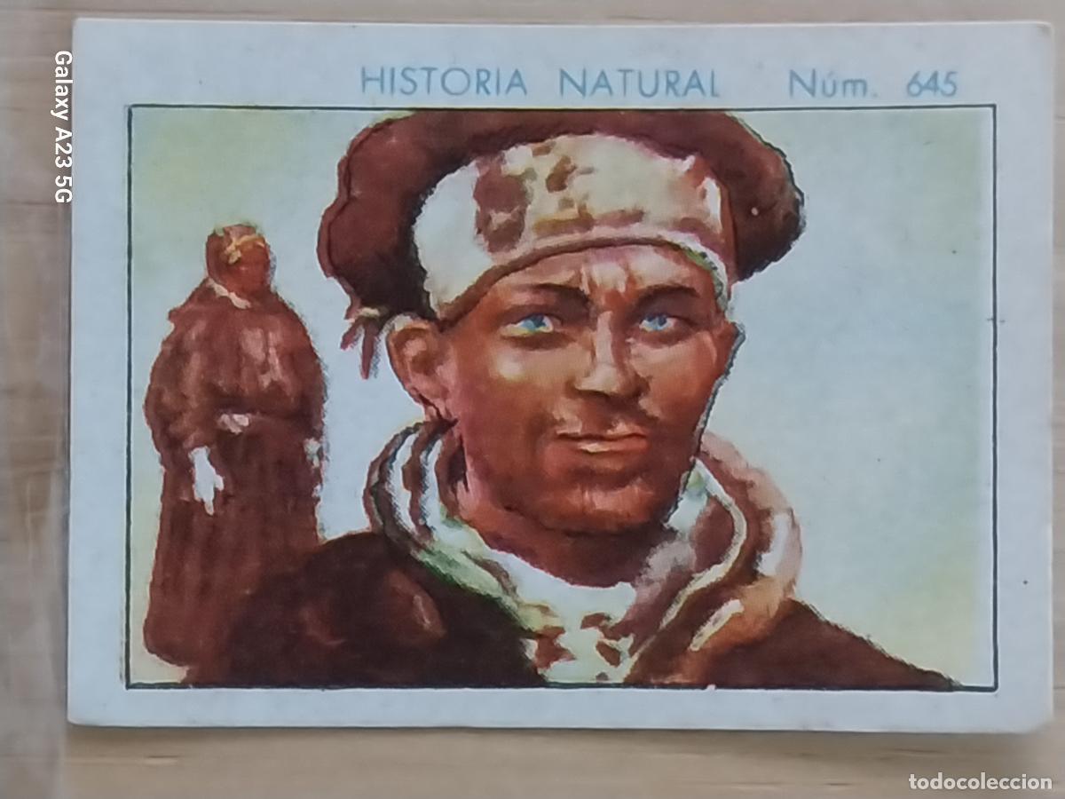 Coleccionismo cromos antiguos: LAP&Oacute;N CHOCOLATES JUNCOSA LA CHOCOLATERA A&Ntilde;O 1935 ************* CROMO 645 4.5X3.5CMS HISTORIA NATURAL