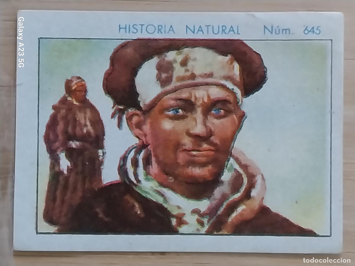 Coleccionismo cromos antiguos: LAP&Oacute;N CHOCOLATES JUNCOSA LA CHOCOLATERA A&Ntilde;O 1935 ********** CROMO 645 4.5X3.5CMS HISTORIA NATURAL