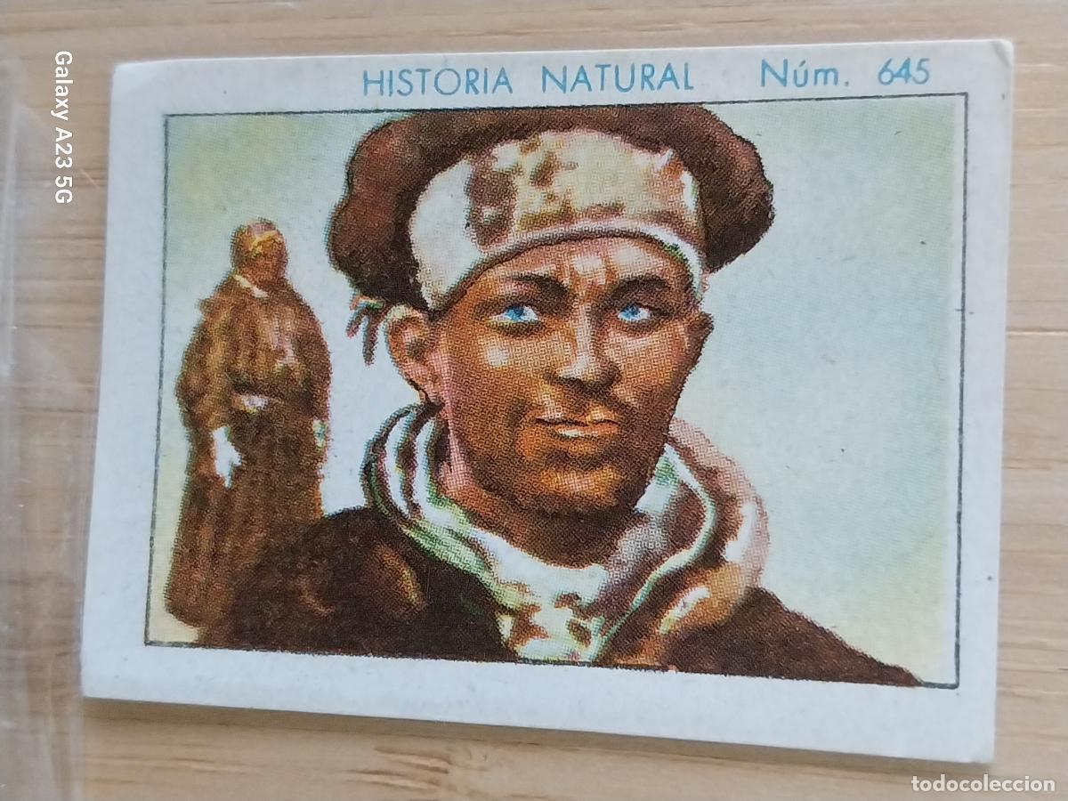 Coleccionismo cromos antiguos: LAP&Oacute;N CHOCOLATES JUNCOSA LA CHOCOLATERA A&Ntilde;O 1935 ******** CROMO 645 4.5X3.5CMS HISTORIA NATURAL