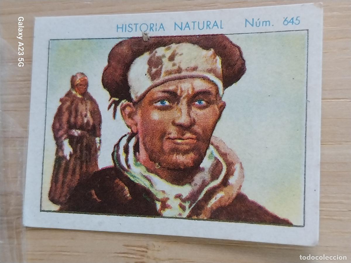 Coleccionismo cromos antiguos: LAP&Oacute;N CHOCOLATES JUNCOSA LA CHOCOLATERA A&Ntilde;O 1935 **** CROMO 645 4.5X3.5CMS HISTORIA NATURAL