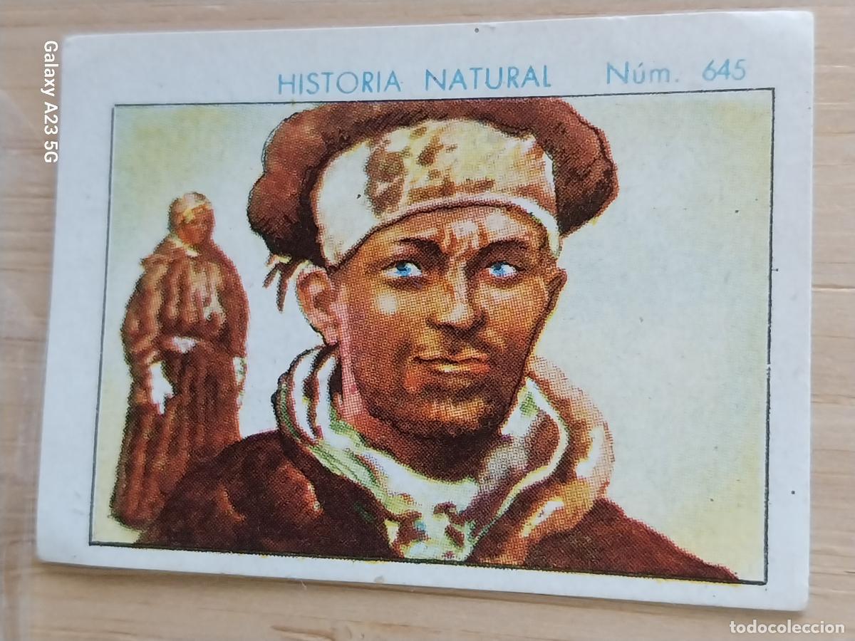 Coleccionismo cromos antiguos: LAP&Oacute;N CHOCOLATES JUNCOSA LA CHOCOLATERA A&Ntilde;O 1935 *-* CROMO 645 4.5X3.5CMS HISTORIA NATURAL