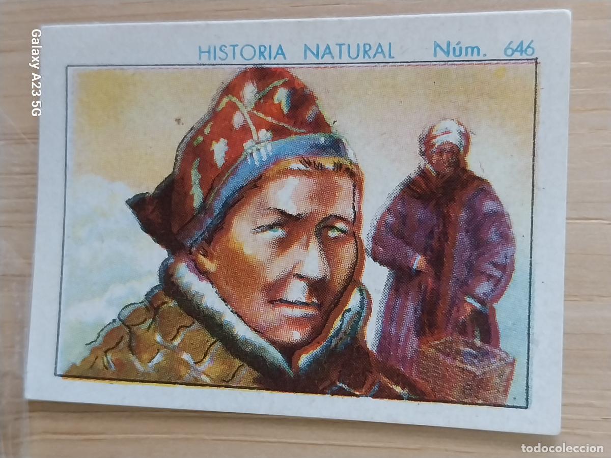 Coleccionismo cromos antiguos: LAP&Oacute;NA CHOCOLATES JUNCOSA LA CHOCOLATERA A&Ntilde;O 1935 ************ CROMO 646 4.5X3.5CMS HISTORIA NATURAL