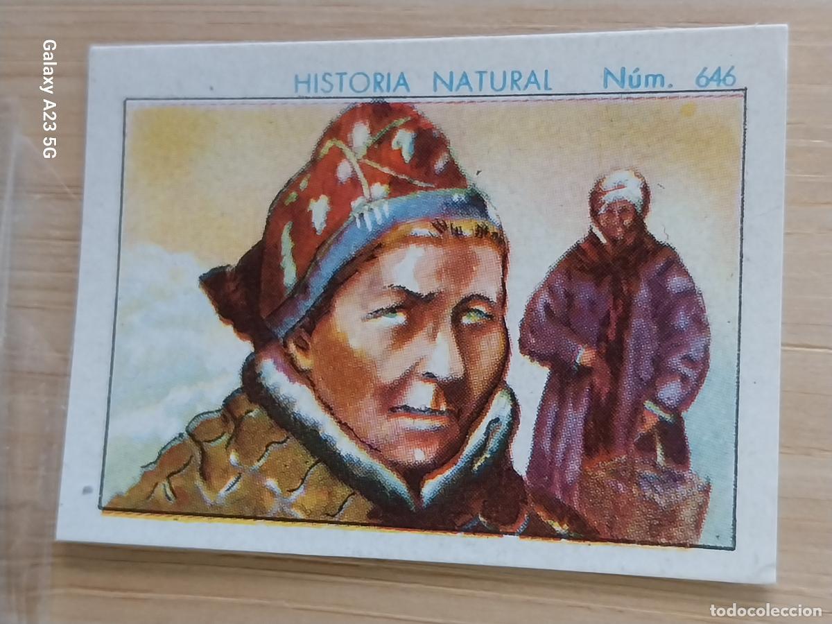 Coleccionismo cromos antiguos: LAP&Oacute;NA CHOCOLATES JUNCOSA LA CHOCOLATERA A&Ntilde;O 1935 *********** CROMO 646 4.5X3.5CMS HISTORIA NATURAL