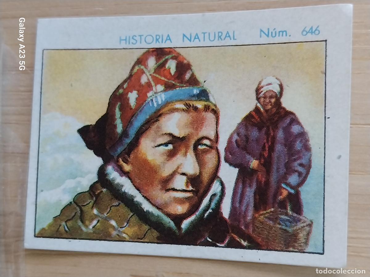 Coleccionismo cromos antiguos: LAP&Oacute;NA CHOCOLATES JUNCOSA LA CHOCOLATERA A&Ntilde;O 1935 ********** CROMO 646 4.5X3.5CMS HISTORIA NATURAL