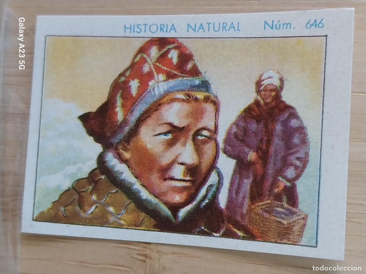 Coleccionismo cromos antiguos: LAP&Oacute;NA CHOCOLATES JUNCOSA LA CHOCOLATERA A&Ntilde;O 1935 ******** CROMO 646 4.5X3.5CMS HISTORIA NATURAL