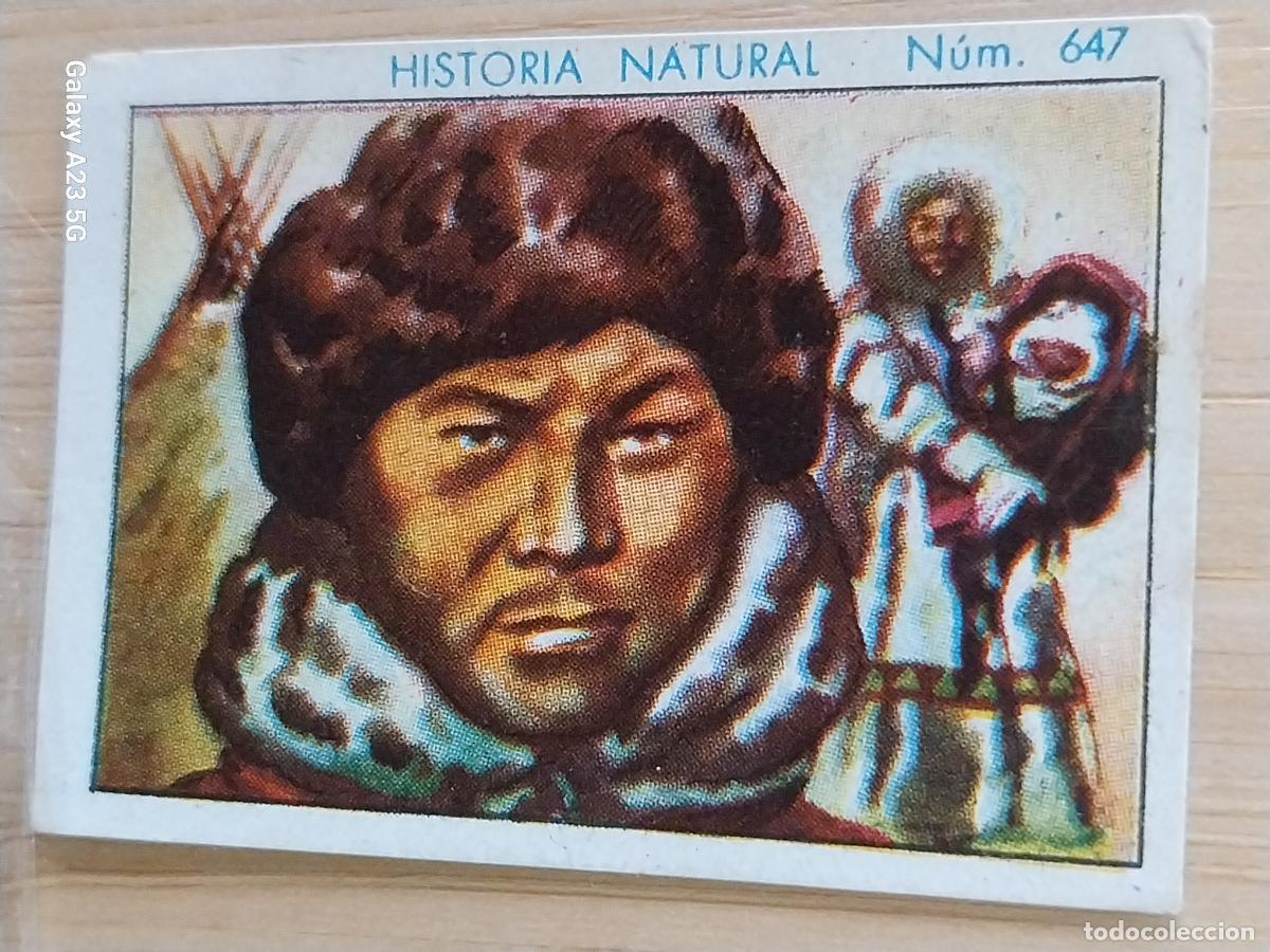 Coleccionismo cromos antiguos: SAMOYEDO CHOCOLATES JUNCOSA LA CHOCOLATERA A&Ntilde;O 1935 ******** CROMO 647 4.5X3.5CMS HISTORIA NATURAL