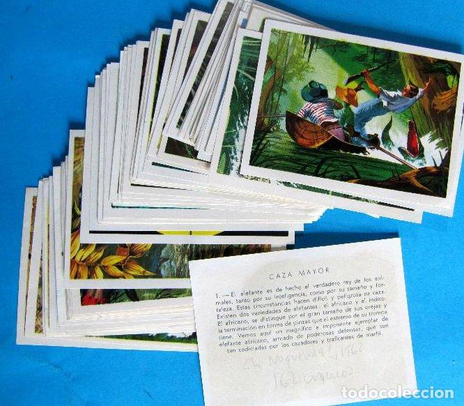 Coleccionismo cromos antiguos: LOTE DE CROMOS. CROMOS SUELTOS; 0,60 &euro;. CAZA MAYOR. RUIZ ROMERO, 1962.