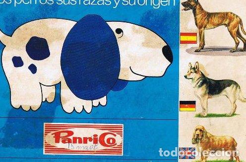 Colecionismo Cromos antigos: LOTE DE CROMOS. CROMOS SUELTOS; 0,60 &euro;. LOS PERROS SUS RAZAS Y ORIGEN. PANRICO, MADRID, 1972.