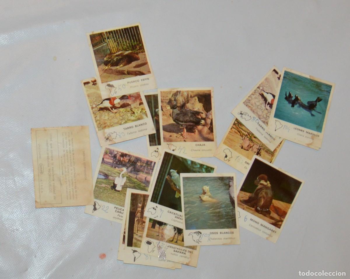 Coleccionismo cromos antiguos: CHOCOLATES HUESO - 15 CROMOS MI VISITA AL ZOO DE BARCELONA Y 1 DE HEROES LEGENDARIOS