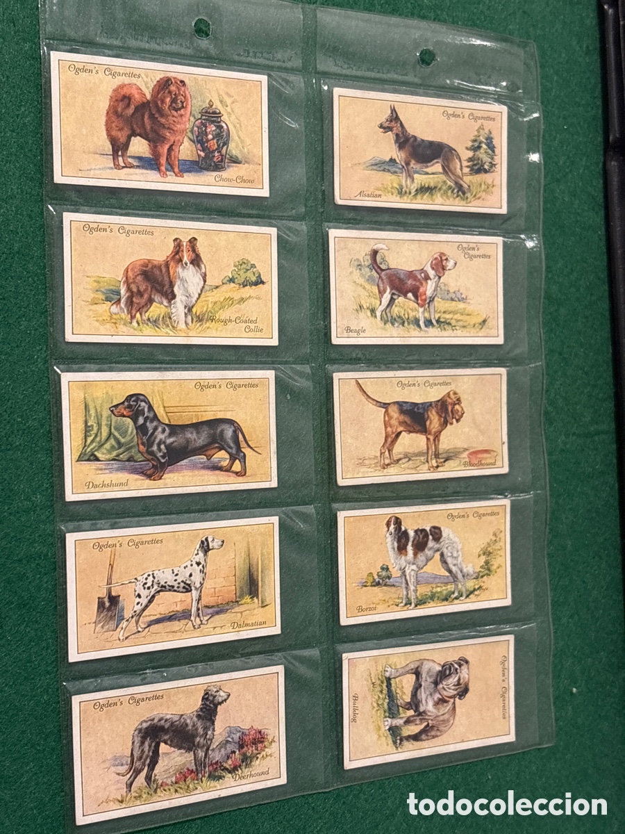 Collezionismo Figurine antiche: Antiguos cromos, Dogs, perros, cigarrillos tabaco Ogden&rsquo;s (A17)