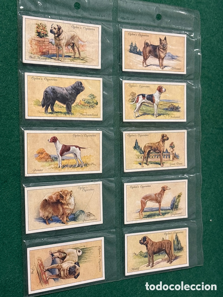 Collezionismo Figurine antiche: Antiguos cromos, Dogs, perros, cigarrillos tabaco Ogden&rsquo;s (A17)