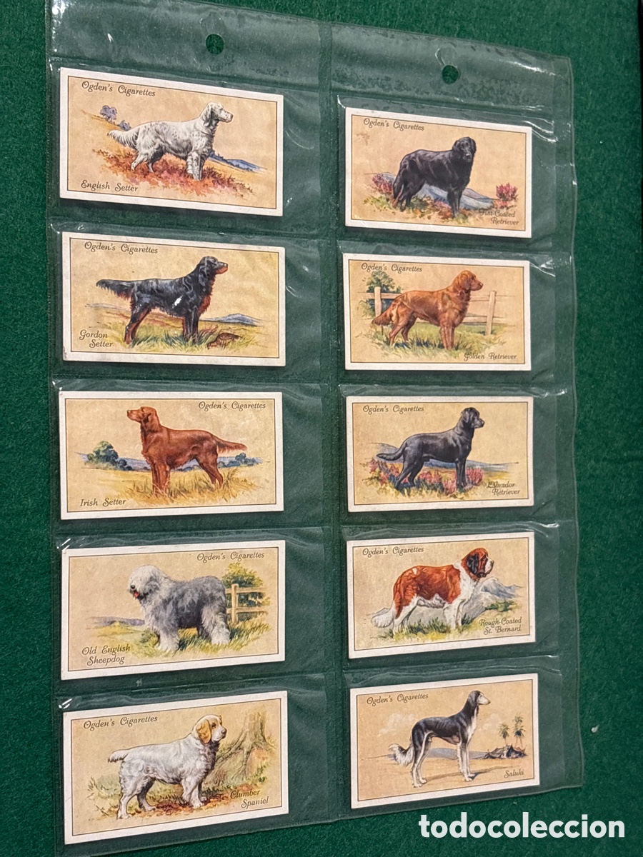Collezionismo Figurine antiche: Antiguos cromos, Dogs, perros, cigarrillos tabaco Ogden&rsquo;s (A17)