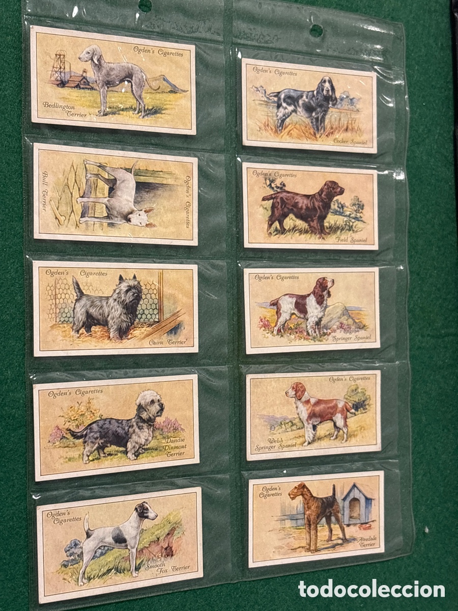 Collezionismo Figurine antiche: Antiguos cromos, Dogs, perros, cigarrillos tabaco Ogden&rsquo;s (A17)