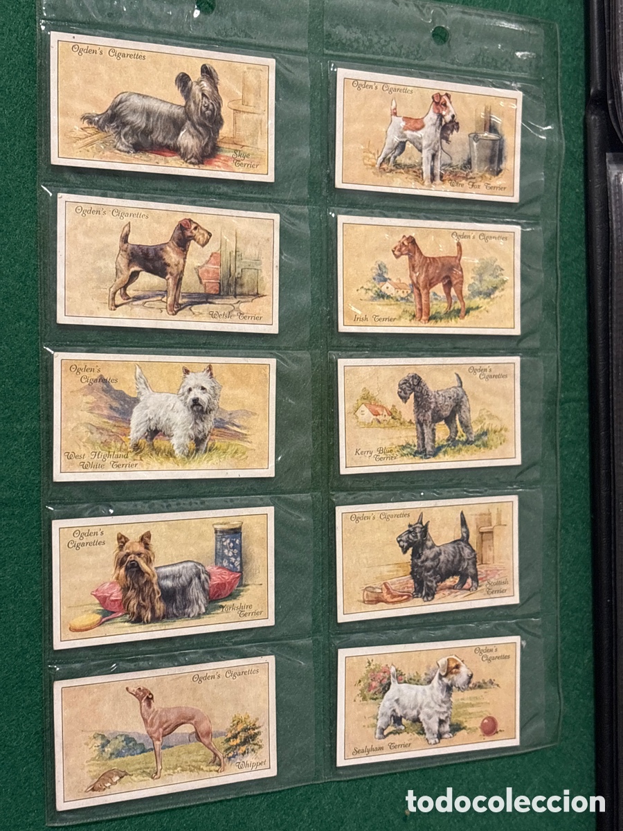 Collezionismo Figurine antiche: Antiguos cromos, Dogs, perros, cigarrillos tabaco Ogden&rsquo;s (A17)