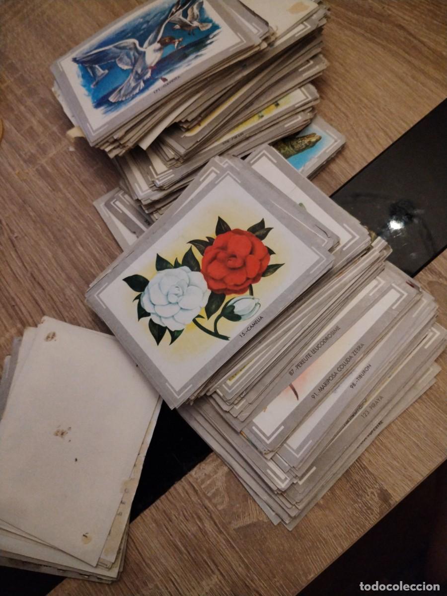Coleccionismo cromos antiguos: Naturaleza y color- m&aacute;s de 200 cromos