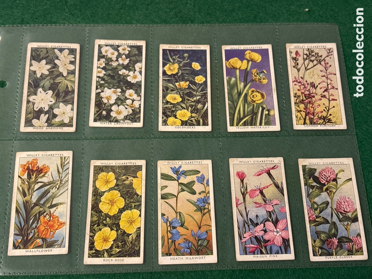 Collectable Antique Stickers: Antiguos cromos, Wild Flowers, cigarrillos tabaco Wills (A17)