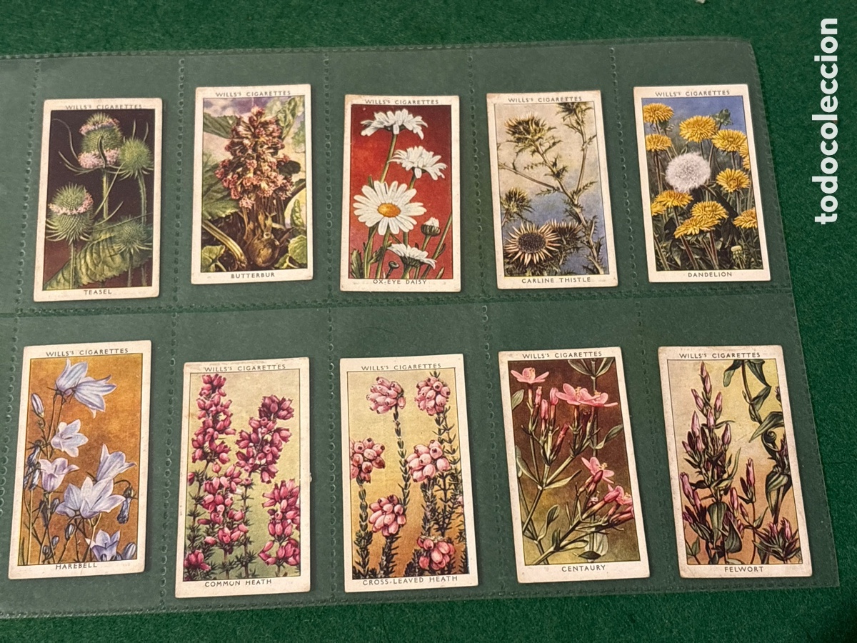 Collectable Antique Stickers: Antiguos cromos, Wild Flowers, cigarrillos tabaco Wills (A17)