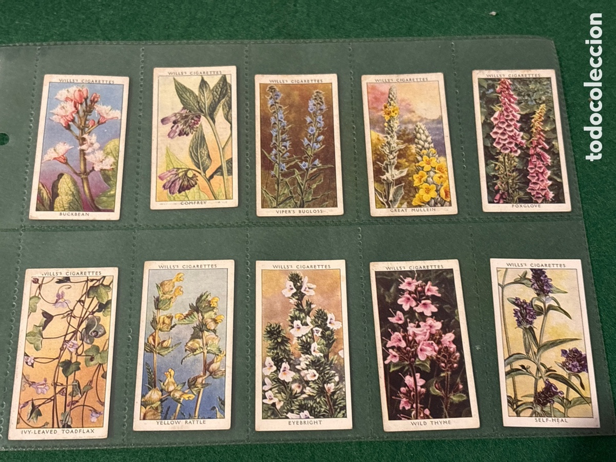 Collectable Antique Stickers: Antiguos cromos, Wild Flowers, cigarrillos tabaco Wills (A17)