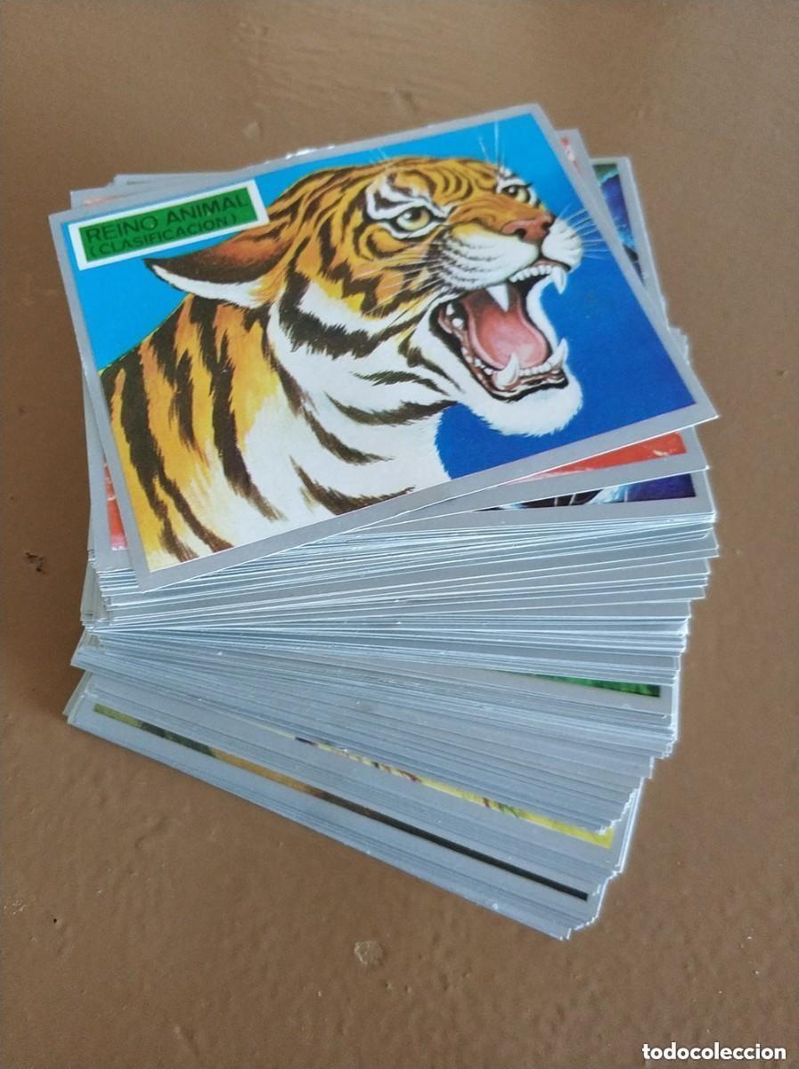 Coleccionismo cromos antiguos: Coleccion completa de 288 cromos Zoologia y Botanica de Maga nuevos sin pegar a&ntilde;o 1969 completo