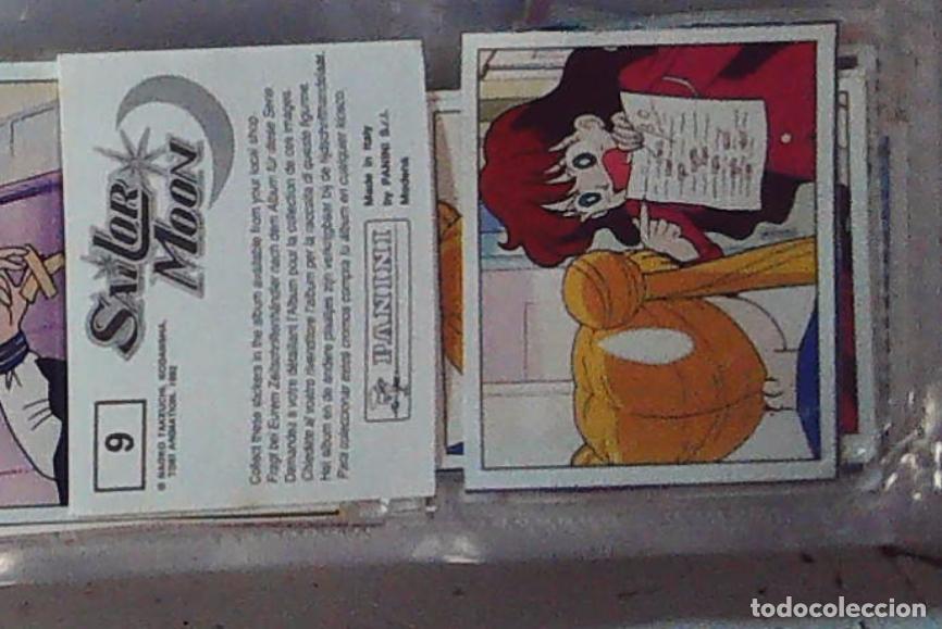 Coleccionismo cromos antiguos: sailor moon guerrero luna panini cromo nuevo nunca pegado n 9