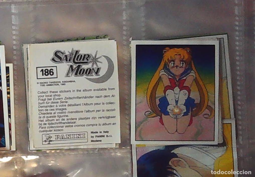 Coleccionismo cromos antiguos: sailor moon guerrero luna panini cromo nuevo nunca pegado n 186