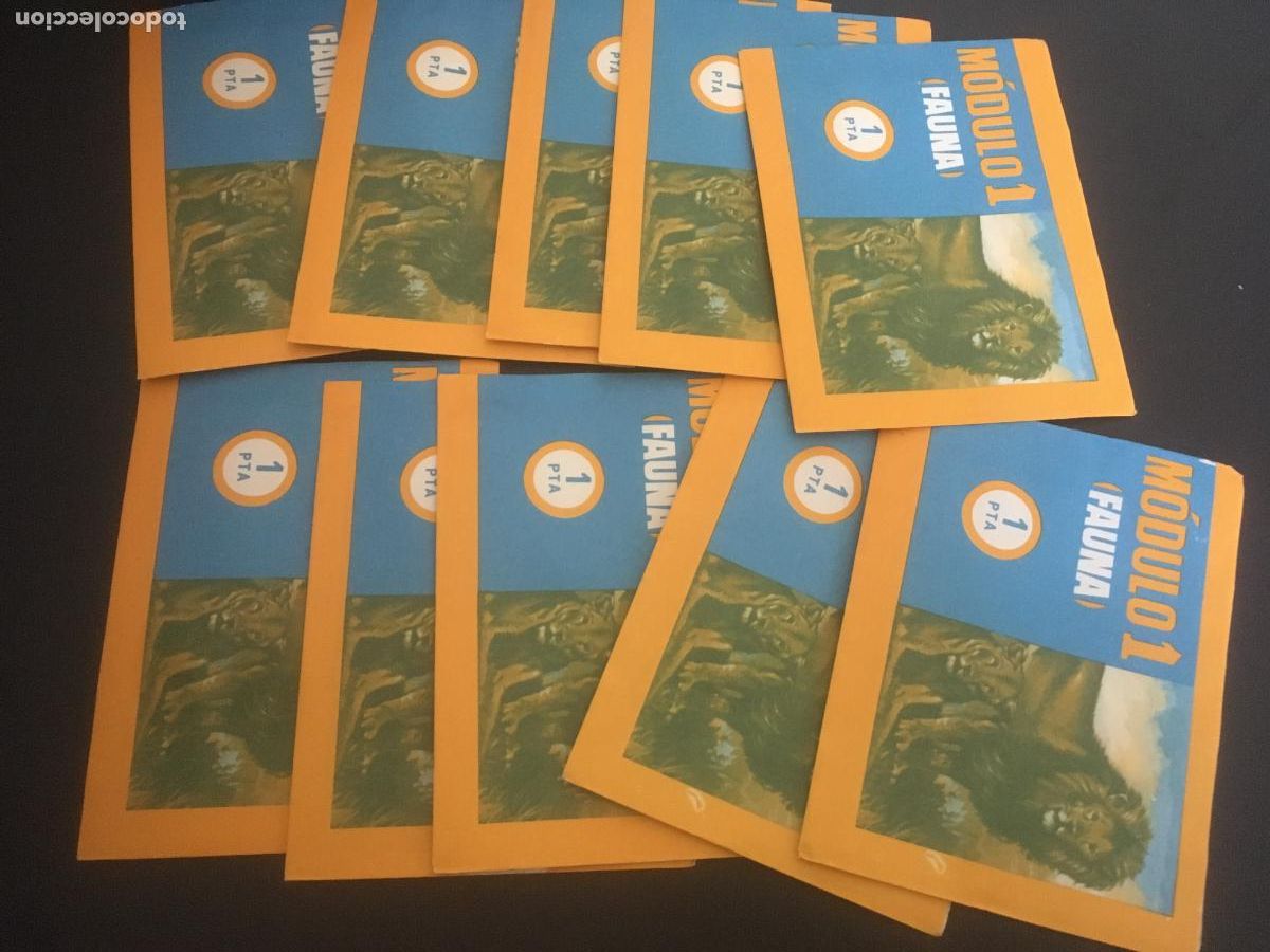 Colecionismo Cromos antigos: fauna modulo 1 lote 10 sobres de cromos sin abrir cerrados