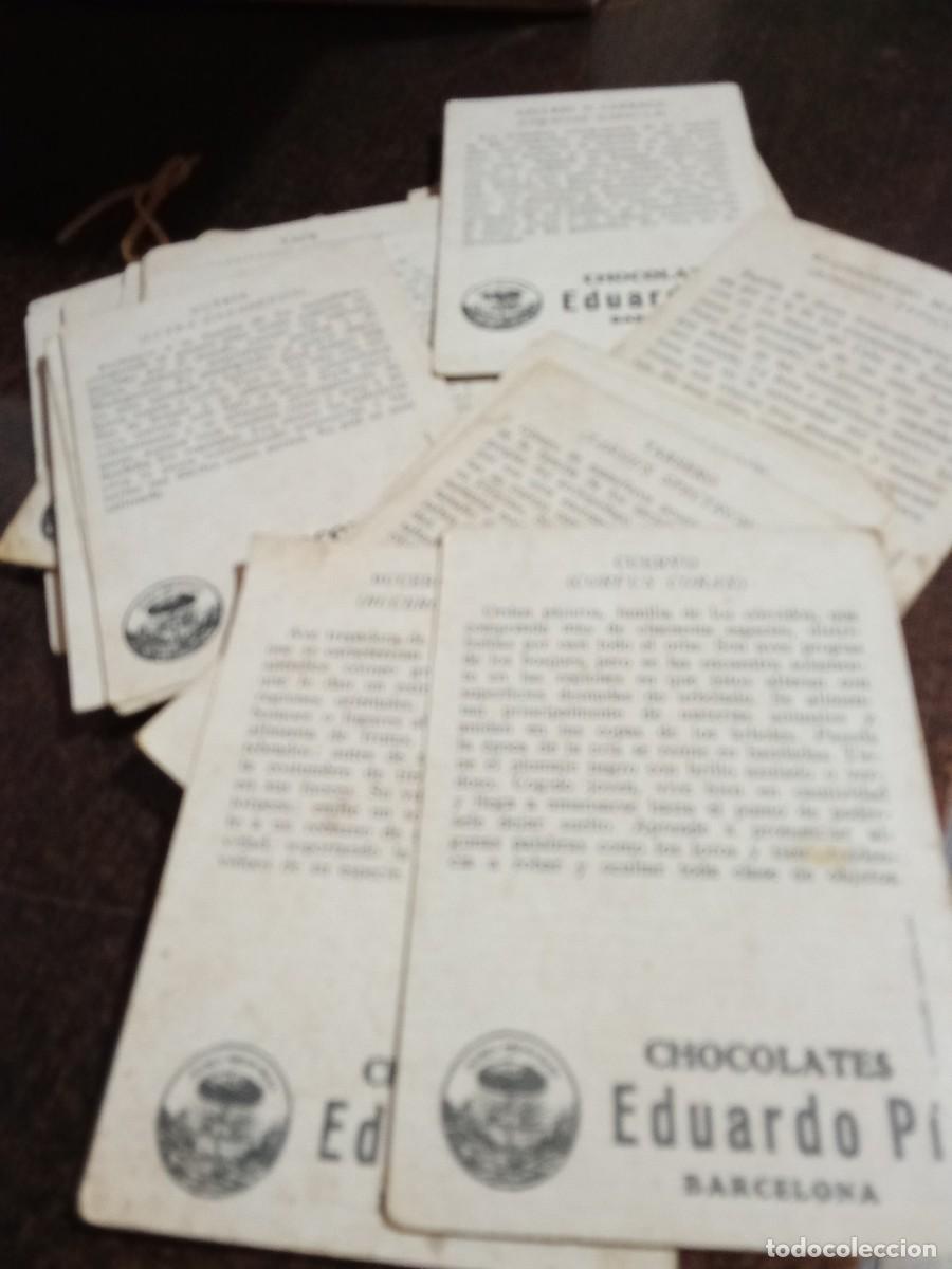 Coleccionismo cromos antiguos: Chocolates Eduardo Pi Barcelona.Historia natural.