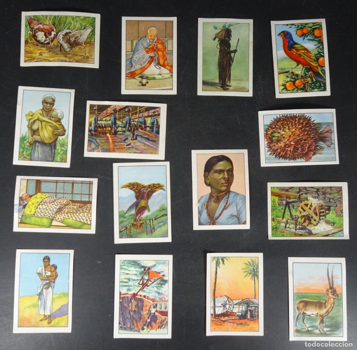 Collectable Antique Stickers: LOTE DE 15 CROMOS CURIOSIDADES DEL UNIVERSO, NESTL&Eacute;, VER FOTOS