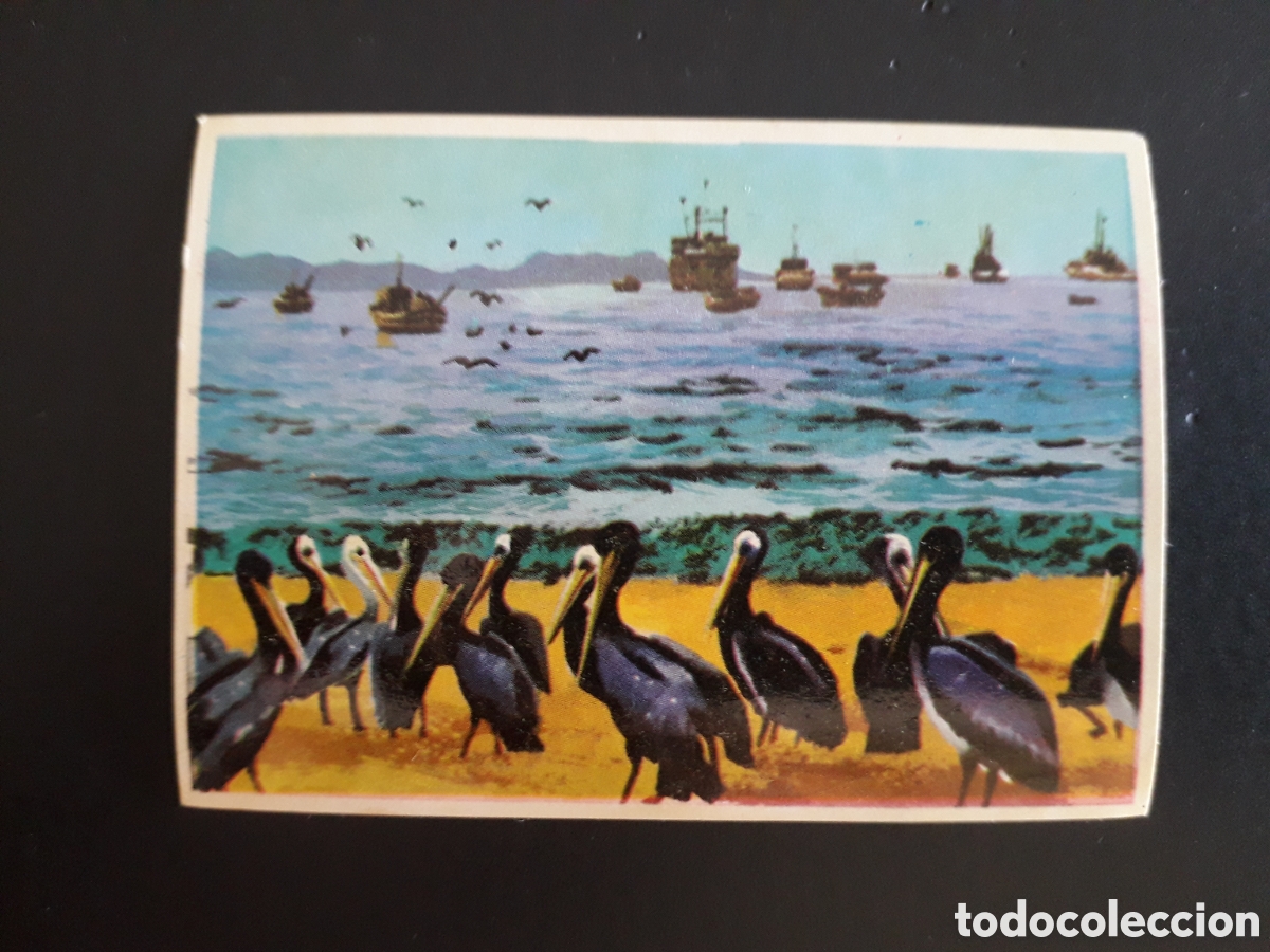 Coleccionismo cromos antiguos: ISLA GAL&Aacute;PAGOS. LA VUELTA AL MUNDO CON BIMBO 1966 N&deg; 19 SIN PEGAR, PEDIDO M&Iacute;NIMO 3&euro;